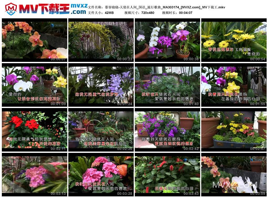 慕容晓晓-天使在人间_国语_流行歌曲_MA303174